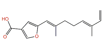 (E,E)-5-(2,6-Dimethylocta-1,5,7-trienyl)-furan-3-carboxylic acid